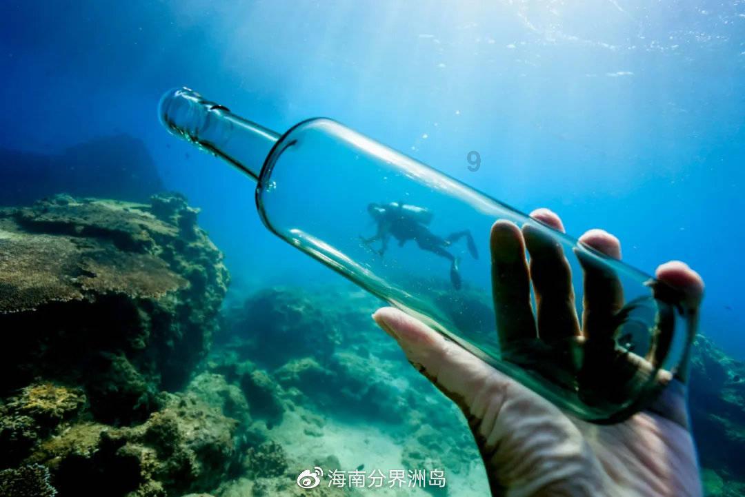有没有专家知道这是一种什么虫游戏画面